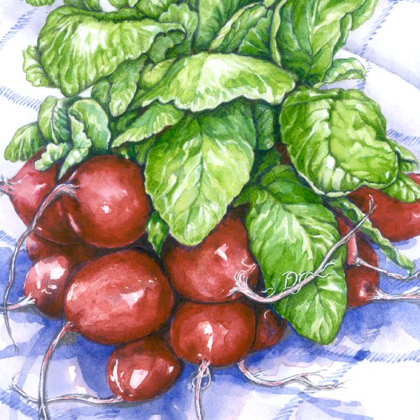 Radishes