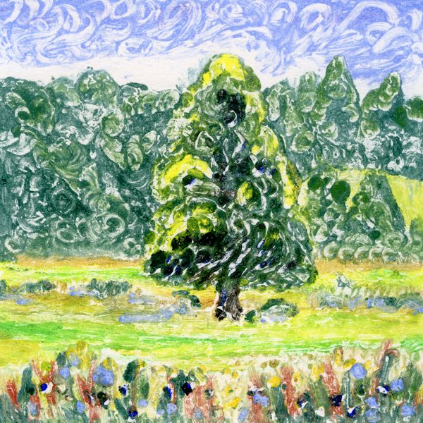 Tree 1 Hambleden Brook