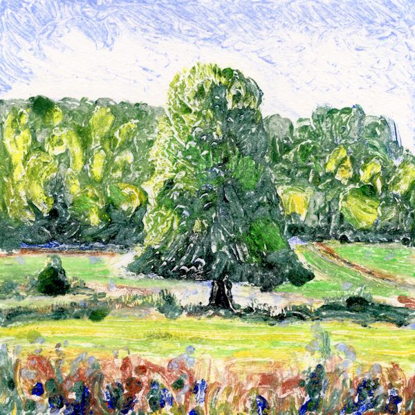 Tree 2 Hambleden Brook