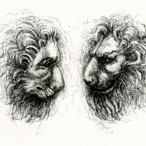 Lions from a Pisano Pulpit